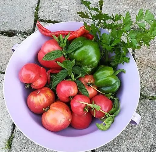 Holiday home Traumhaftes Haus In Idyllischer Lage *